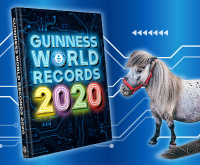 Guinness World Record Breaker Camp