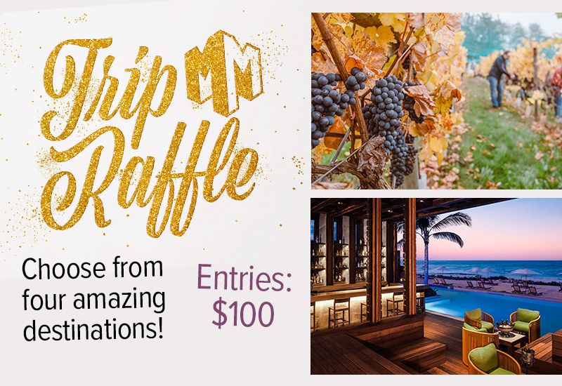 March Mania Trip Raffle - $100 Per Entry!